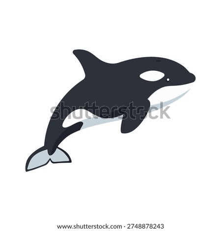 Vector illustration orca or killer whale in trendy flat style. Isolated on white.