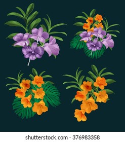 Vector Illustration of orchid bunch  set