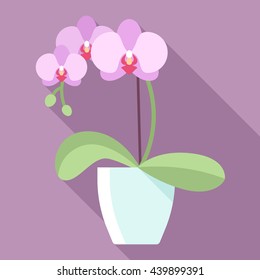 Vector illustration of orchid flower in flowerpot with long shadow. Modern pastel colors. Flat style.
