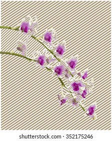 Vector illustration orchid flower line art