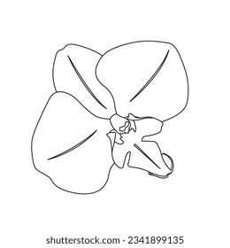 Vector illustration of orchid line art. Orchid flower cartoon style. Logo, icon and coloring single flower. Black and white art elements for education and digital resources