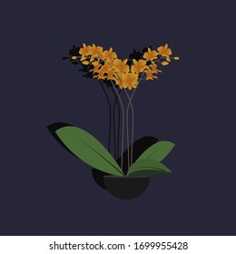 Ilustración vectorial de una orquídea sobre un fondo oscuro 5