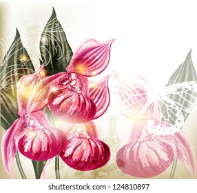 Vector illustration with orchids