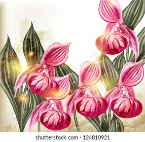 Vector illustration with orchids