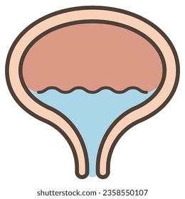 Vector illustration of organ bladder