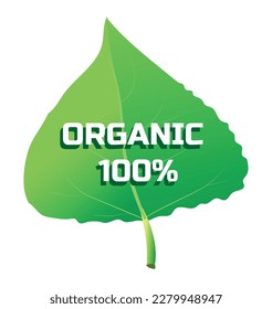 Vector illustration Organic food icon with leaf on white background