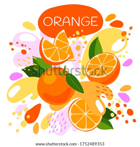 vector illustration of an organic fruit drink. ripe orange fruits with splash of bright fresh orange juice background. eco concept for a natural fruit smoothie label.