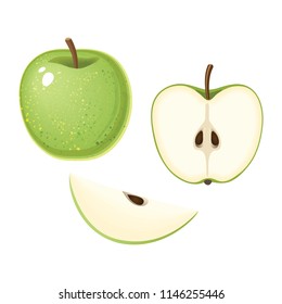 Vector illustration of organic green apple with slices