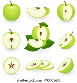 Vector illustration of organic green apple with slices isolated on white background