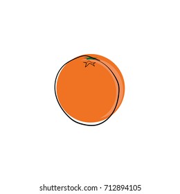 Vector illustration of organic orange fruit. Tropical fruit. Vitamin