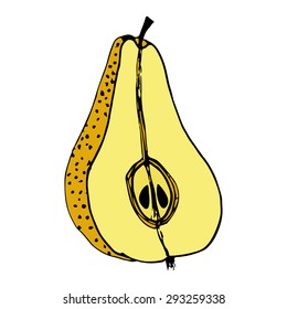Vector illustration of organic pear. Hand made doodle.
