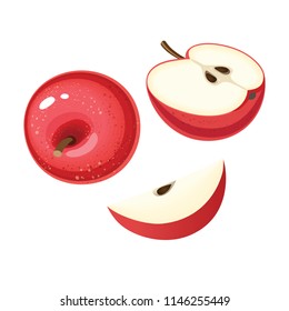 Vector illustration of organic red apple with slices
