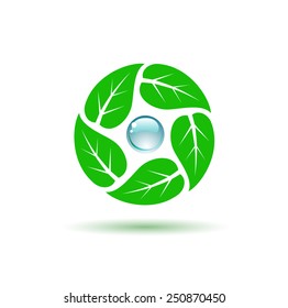 Vector illustration of organic symbol. Leaf and drop of water. Ecology, organic icon . Eco icon. Logo template.