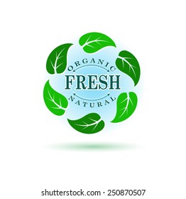 Vector illustration of organic symbol. Leaf and drop of water. Ecology, organic icon . Eco icon. Logo template.