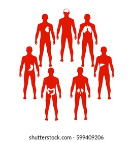 Vector illustration of Organs