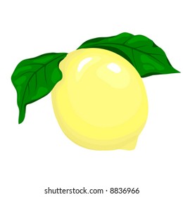 “Lemon” vector illustration is original artwork.