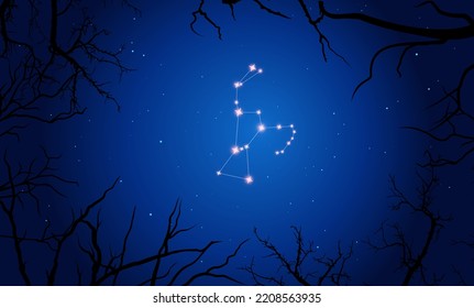 Orion-Konstellation in Vektorgrafik. Baumzweige, dunkelblauer Sternenhimmel, Kosmos. Illustration des Sternbildes Orion.