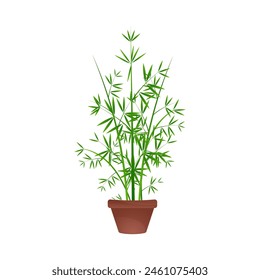 vector illustration of ornamental bamboo tree in a pot