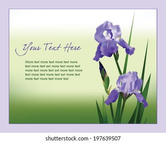 Vector illustration with ornamental iris flowers. Decorative floral template for greeting cards, invitations, thank you letters, banners, wallpaper, background. Place for your text. Easily editable.