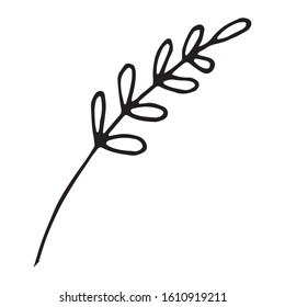 Vector illustration of ornamental plant single element. Black outlines isolated on white background. Doodle style. Decoration for greeting cards, gifts, wrapping paper etc.