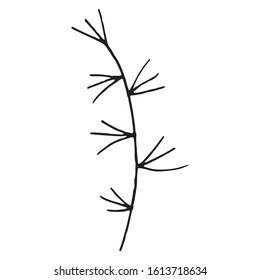 Vector illustration of ornamental plant single element. Black outlines isolated on white background. Doodle style. Decoration for greeting cards, gifts, wrapping paper etc.