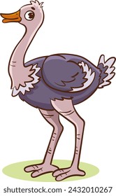 Vector illustration of an Ostrich Bird standing on its feet