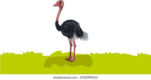 Ilustración vectorial del diseño de avestruz
