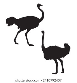 Vector Illustration of Ostrich Silhouette