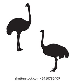 Vector Illustration of Ostrich Silhouette