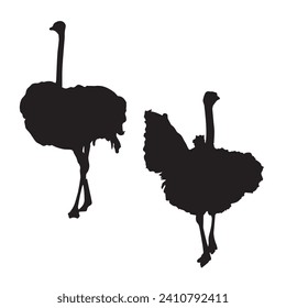 Vector Illustration of Ostrich Silhouette