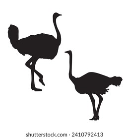 Vector Illustration of Ostrich Silhouette