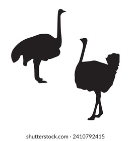 Vector Illustration of Ostrich Silhouette