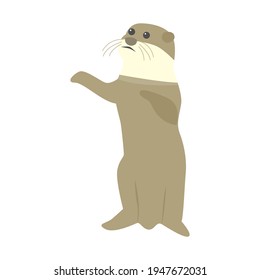 Vector illustration of an otter