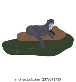 Vector illustration of an otter. Typical animal found in the fauna of the Amazon rainforest.