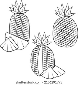 vector illustration Outline black and white pineapple doodle