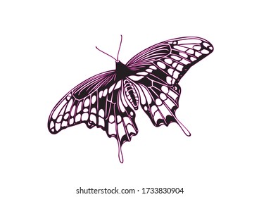 Vector illustration of the outline of a butterfly.