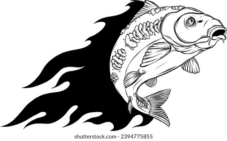 vector illustration of outline Carp fish