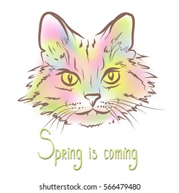 Vector illustration of outline cat with colored mesh and hand lettering.