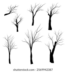 Vector illustration outline forest and trunk wood collection. Art shape drawing and element stem clip art. Dead tree abstract isolated