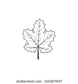 Vector illustration of outline grape leaf.