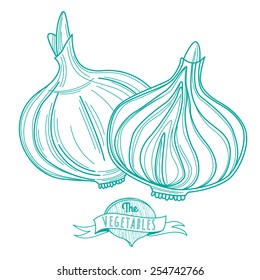 Vector illustration Outline hand drawn sketch of onion (flat style, thin  line)