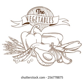 Vector illustration Outline hand drawn sketch vegetable still life (flat style, thin  line) 