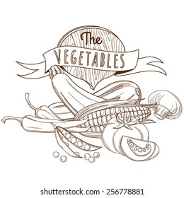 Vector illustration Outline hand drawn sketch vegetable still life (flat style, thin  line) 
