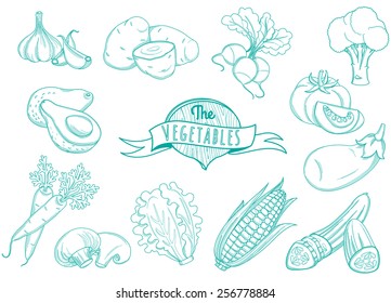 Vector illustration Outline hand drawn vegetable set (flat style, thin  line) 