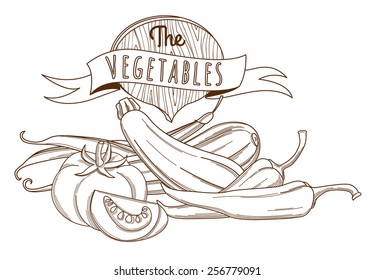 Vector illustration Outline hand drawn sketch vegetable still life (flat style, thin  line) 