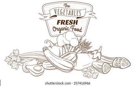 Vector illustration Outline hand drawn sketch vegetable still life composition (flat style, thin  line) 