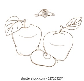 Vector illustration Outline hand drawn apple (flat style, thin line). Single apple, part of apple, isolated