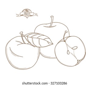 Vector illustration Outline hand drawn apple (flat style, thin line). Single apple, part of apple, isolated