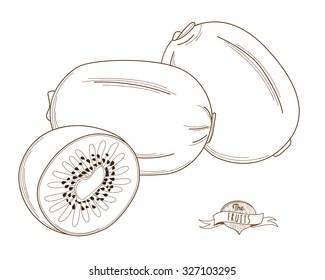 Vector illustration Outline hand drawn kiwi (flat style, thin line). Single kiwi , part of kiwi , isolated
