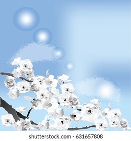 vector illustration of outlined, monochrome cherry, sakura branches and flowers on a blue sky